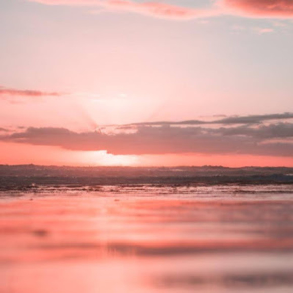 Meet your Posher, Celeste - Picture 1 of 1